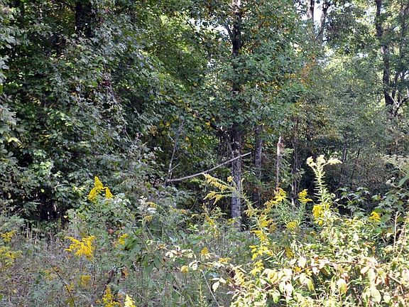 3rd image of 16 Overlook Trl Lot 16B
