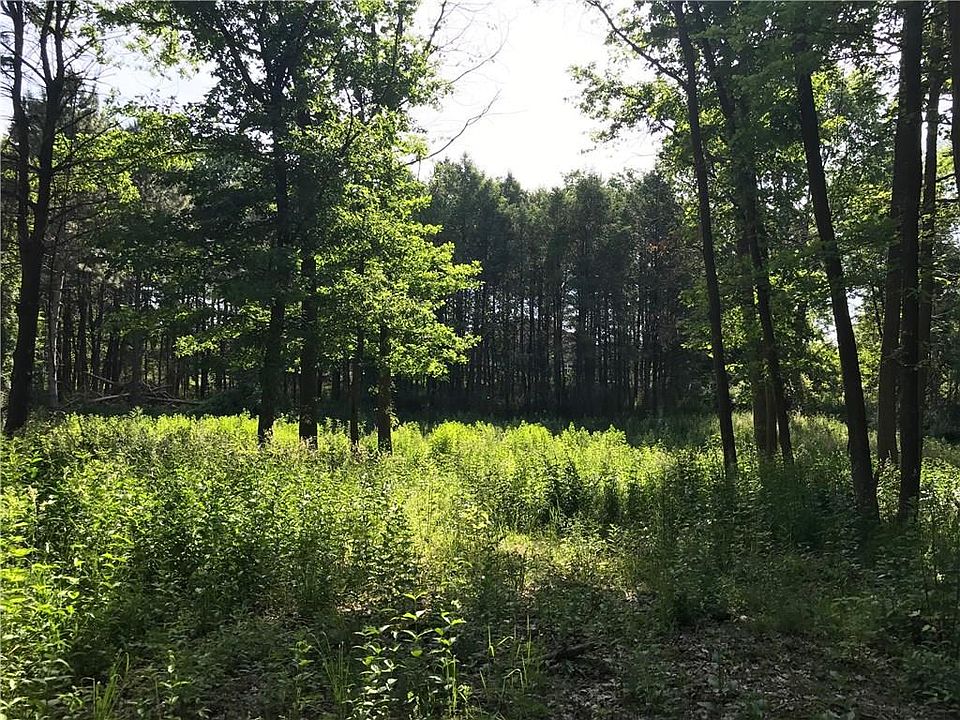 2nd image of 1529 Cranberry Pond Trl