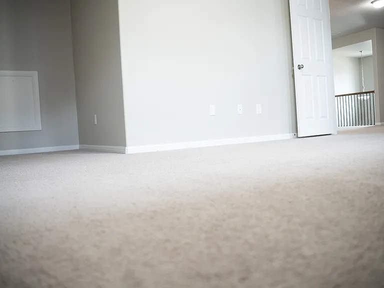 532 Arrowhead Vine St — Photo 20