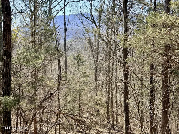 0 Sugar Loaf Rd, Sevierville, TN 37876
