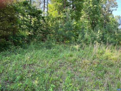 LOT A Six Tye River Rd #91-A6, Arrington, VA, 22922
