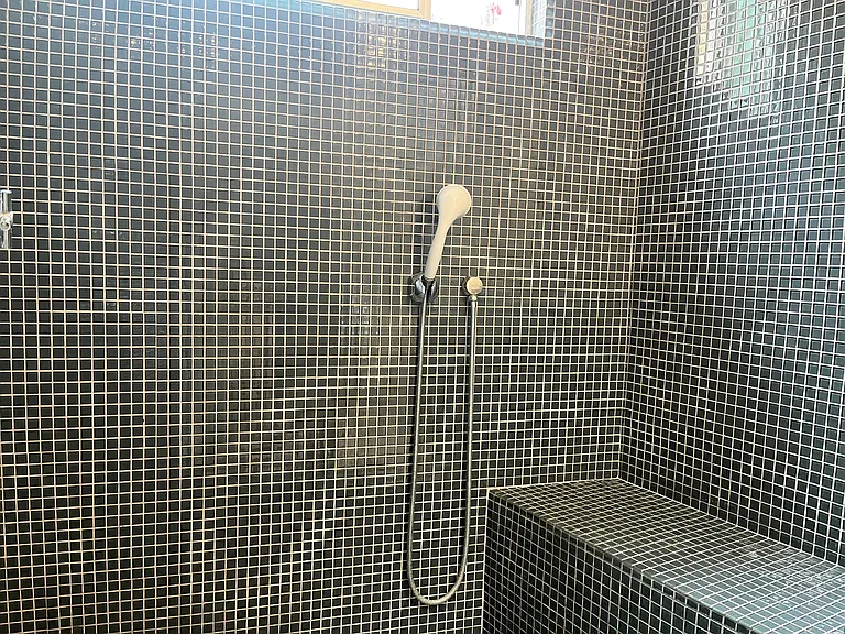 Expansive walking shower facility