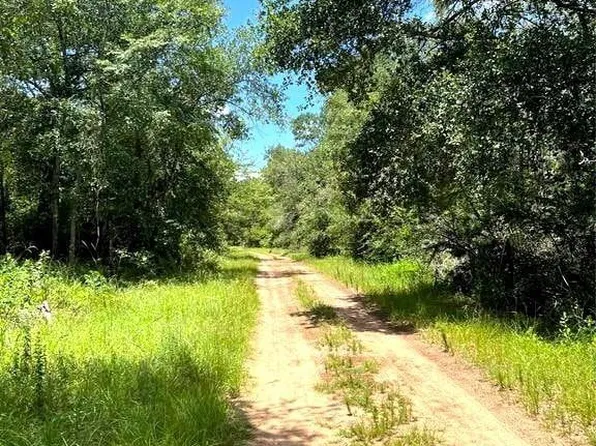 0 Jack Rabbit Dr, Hempstead, TX 77445