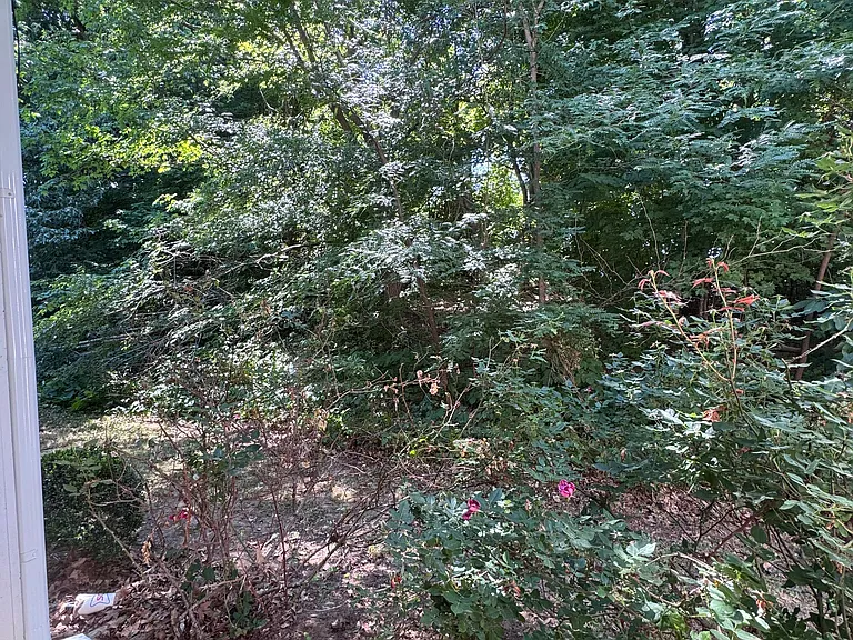 519 Mystic Dr #C — Photo 32