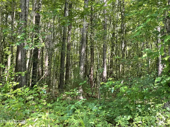 County Road 285, Niota, TN 37826