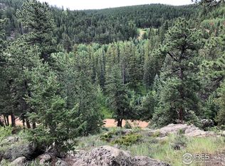 0 Cold Springs Dr, Nederland, CO 80466