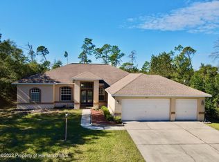 2445 Evenglow Ave, Spring Hill, FL 34609