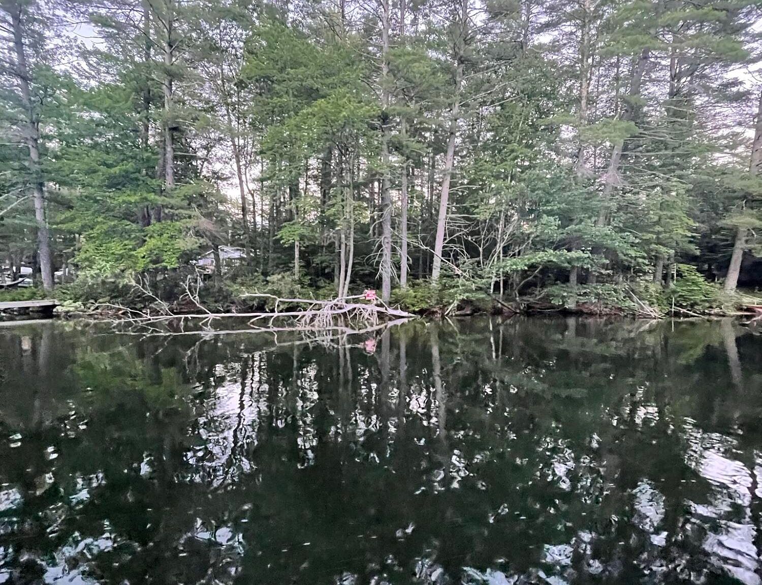 Lot 11 Dillingham Road, Naples, ME 04055 MLS 1584203 Zillow