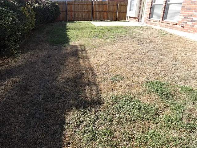 613 Silverbrook Dr — Photo 15