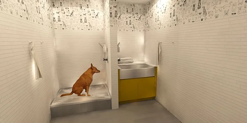 Rented by Greystar | media 20