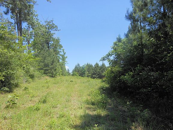 3rd image of 283 Southwood Dr
