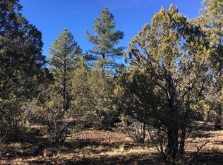 2259 T Bear Trl, Lakeside, AZ 85929