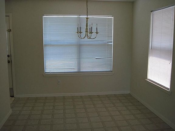 LOTS OF WINDOWS