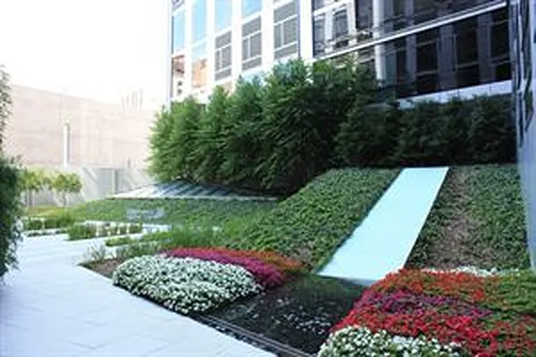 Rented by Douglas Elliman | media 62