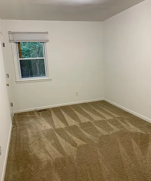 114 Wild Primrose Ln — Photo 8
