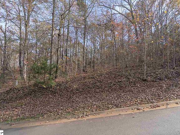 5th image of Overlook Dr Lot 50