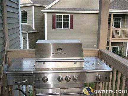 Stainless steel gas grill