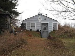 7650 E County Line Rd, South Branch, MI 48761