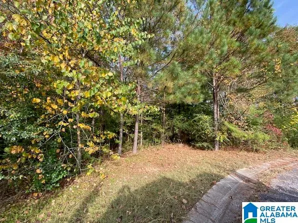 0 Peaceful Ln #47, Springville, AL 35146