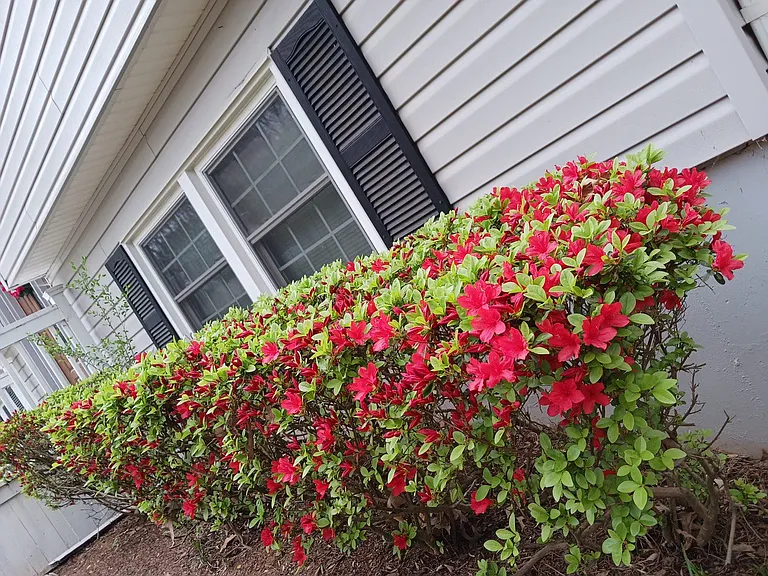 210 Pinehurst Ln — Photo 41