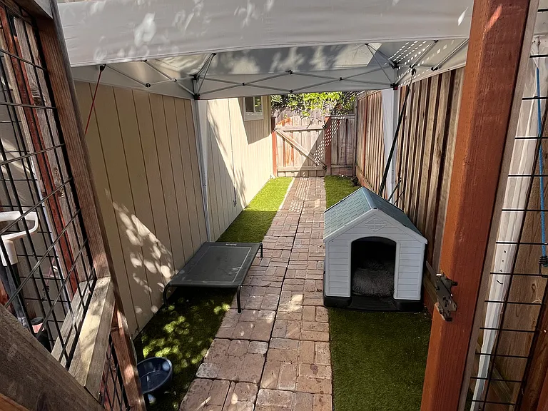 Enclosed dog run in side yard.