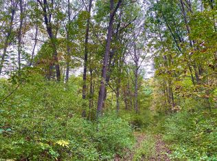 0 Chapman Rd, North Branch, MI 48461