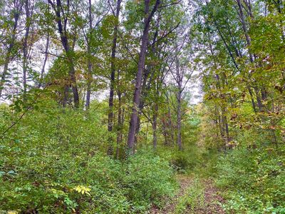 0 Chapman Rd, North Branch, MI, 48461