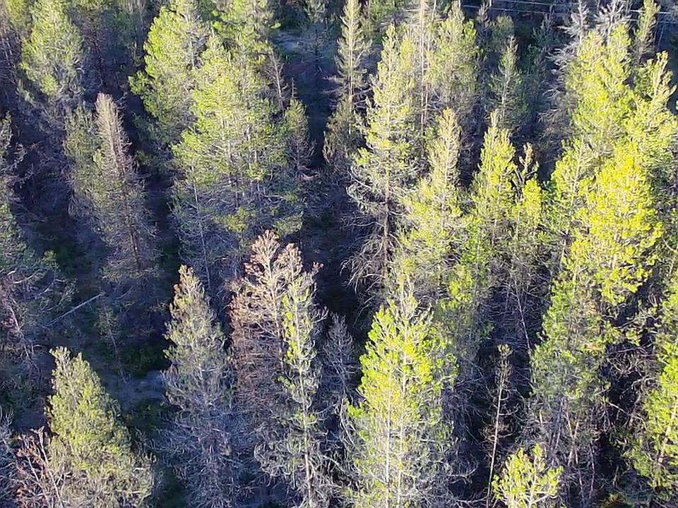 2nd image of LOT 24 Priday Loop