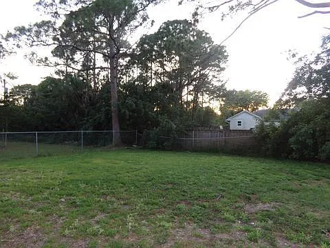 Back yard