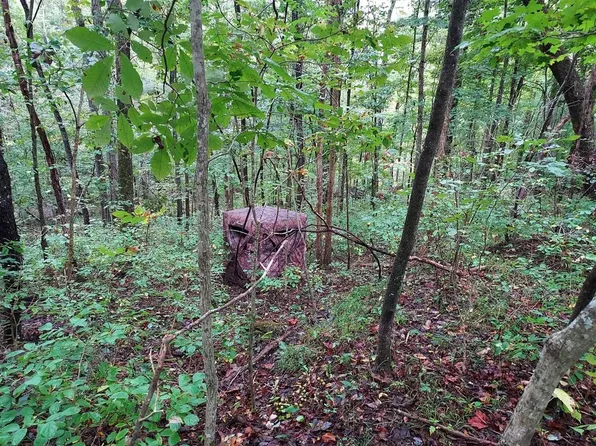 650 Richardson Spur Rd, Summer Shade, KY 42166