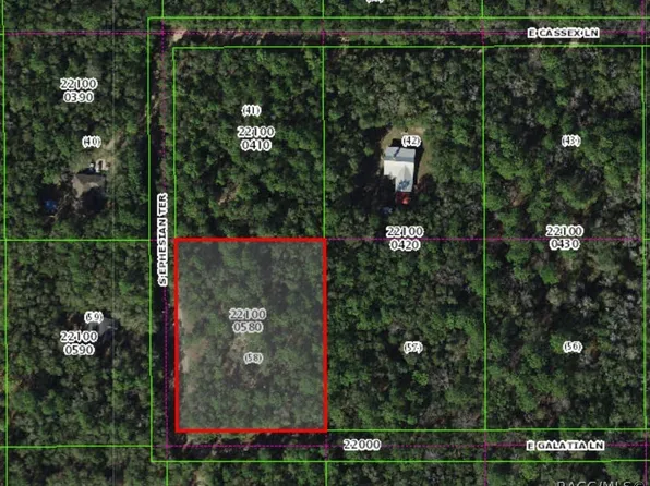13407 S Ephesian Ter, Floral City, FL 34436