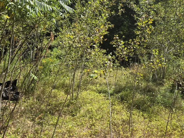 663 Morrill Pond Road, Hartland, ME 04943