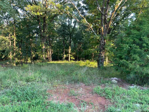 15852 Stillwaters, Lindale, TX 75771