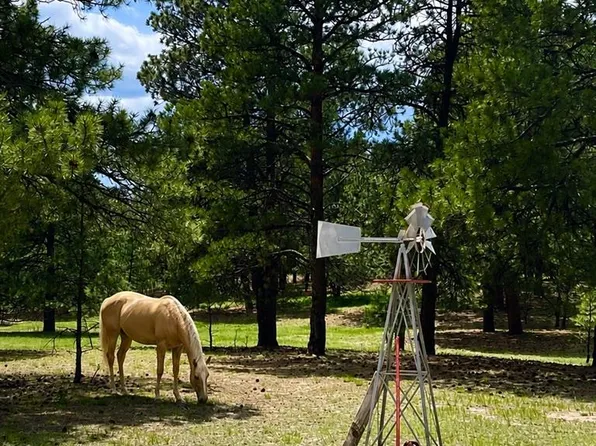 34525 Forest Park Drive, Elizabeth, CO 80107