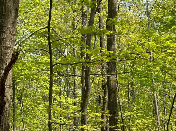 On Cth W Tract 8245, Crandon, WI 54520