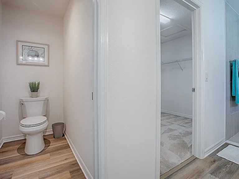 Master Bath and Walk-in Closet