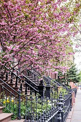 Rented by Kleier Residential