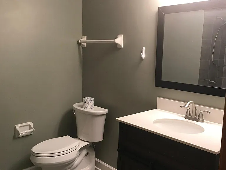 Renovated bathrooms (2).