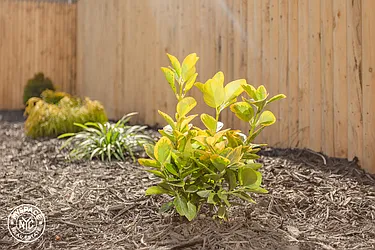 Rented by MySpaceNYC