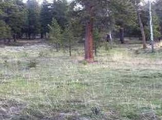 26047 Richmond Hill Rd, Conifer, CO 80433