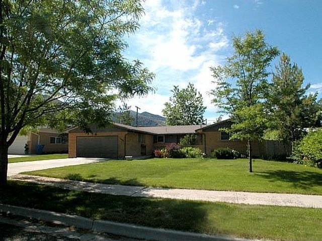 Front yard