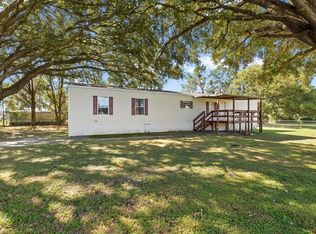 8041 Hamster Dr, Zephyrhills, FL 33540