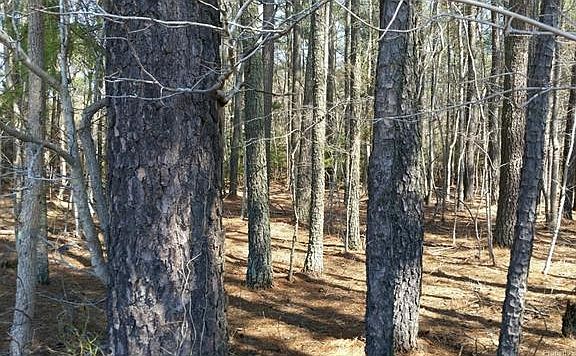 3rd image of 8629 George Washington Memorial Hwy