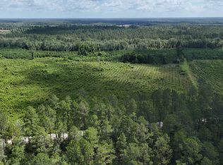 TRACT 3 Bennett Mill Pond Rd, Odum, GA 31555