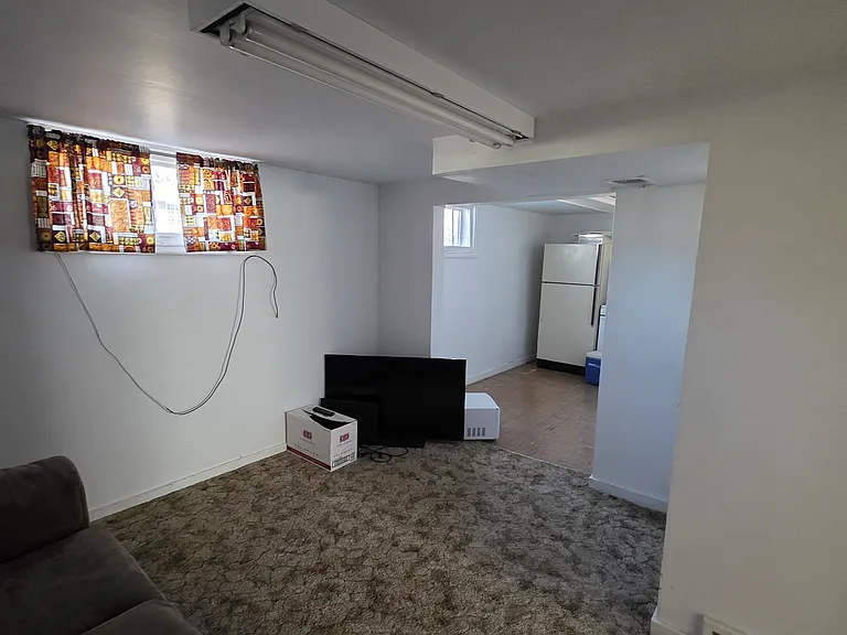 Basement living area.
