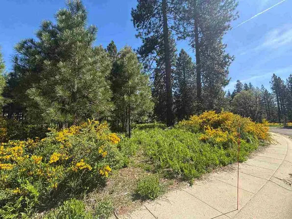 LOT 40 Panther Meadow Dr, McCloud, CA 96057