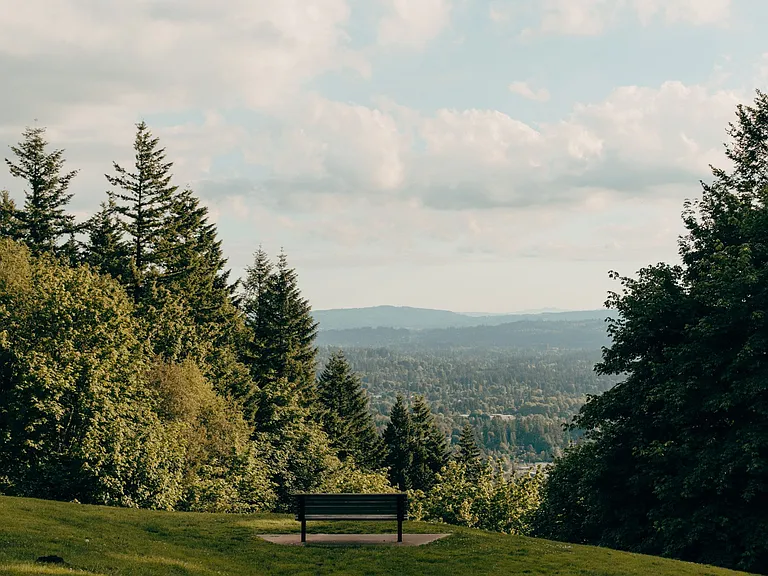 North Hollow — Photo 44