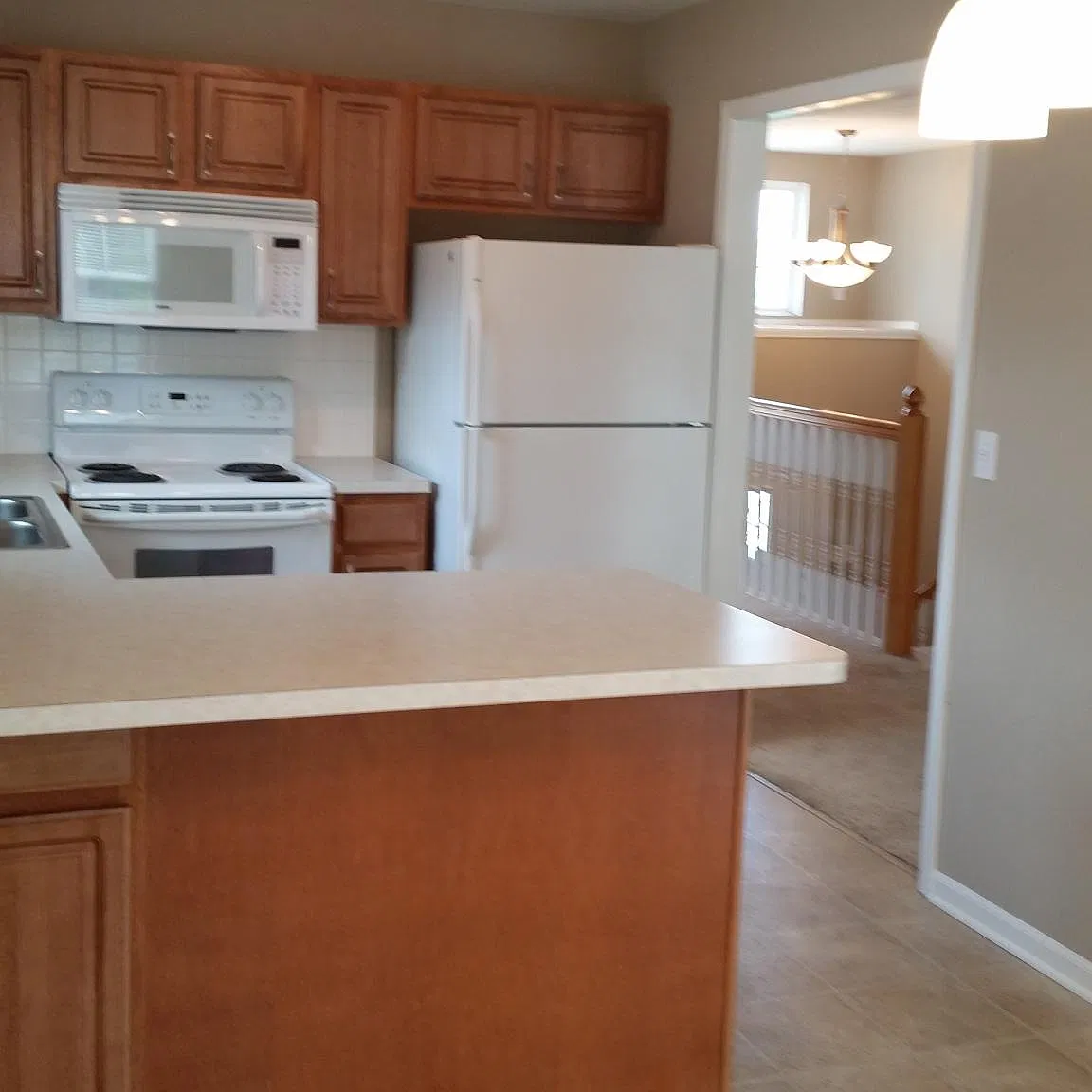 1417 Whispering Meadows Ct — Photo 4