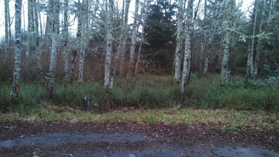 2nd image of 662 Sea Mast Ct Ne Ocean Shores Wa