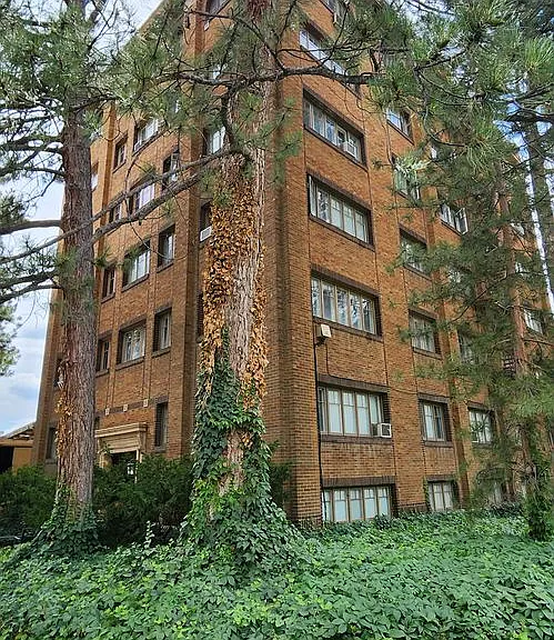 Pollyanna Apartments — Photo 13